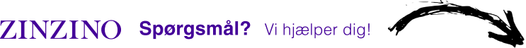 Zinzino