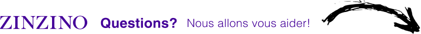 Zinzino France