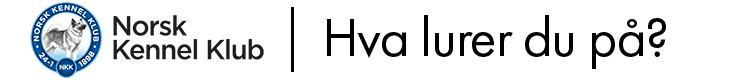 Norsk Kennel Klub